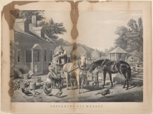 Preparing for Market