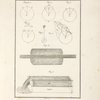 Tavola 1