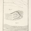 Tavola 8
