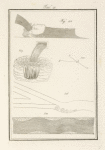 Tavola 21