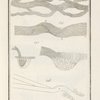 Tavola 22