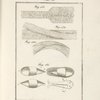 Tavola 28