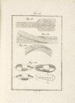 Tavola 28