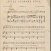 Little Alabama coon
