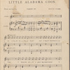 Little Alabama coon