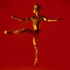 Johan Renvall as The Golden Idol in La Bayadere