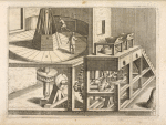 Fig. XVII. Pateomylos.