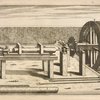 Fig. LXXVII. Trypanomylos.