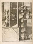 Fig. CXXIII. Haustrum, cum capsulis.