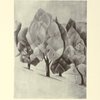 Evreiskaia grafika”, ital’ianskii karandash