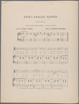 Love's fragile flower