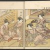 Seiro Bijin awase sugata kagami = A mirror of beauties of the Green House.