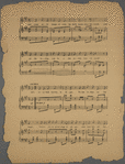 Algy