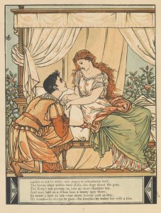 The sleeping beauty picture book