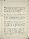 In the shadow of the pines