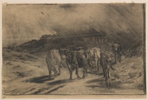 The Passing Storm