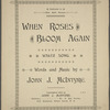 When roses bloom again
