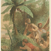 Crusoe's party in wait for Paul's crew