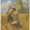 I reaped it my way, for I cut nothing off but the ears, and carried it away in a great basket which I had made"