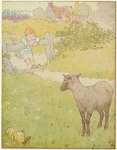 Little boy and black sheep.