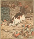 The cat that killed the rat