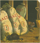 The cat and the rat that ate the malt