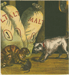 [The dog and the cat that killed the rat.]