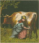 Forlorn maiden milking the cow with the crumpled horn.