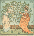 I had a little nut tree.