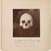 Six adult male Pah Ute Indian skulls [front view]