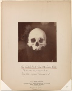 United States Army Medical Museum Photography collection