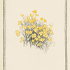 Yellow flowers.