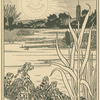 The sun and the frogs.