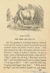 The frog and the ox.