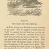 The hare and the tortoise.