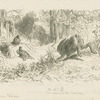 The hare and the tortoise