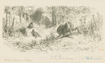 The hare and the tortoise