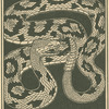 The head & the tail of the serpent.