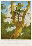 In the fork, like a mastheaded seamen, there stood a man in a green tabard, spying far and wide.