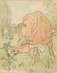 The cow sees Tom Thumb.