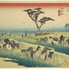 Chiryū, Shuka uma ichi