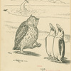 And the owl was a funny old fowl.
