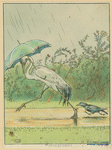 Crane and crow with an umbrella.