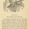The tortoise and the eagle.