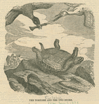 The tortoise and the two ducks.