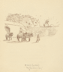 A boy with horses