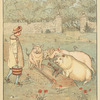 Feeding the pigs.