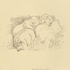 Pigs.