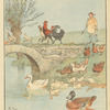 Chickens and ducks.