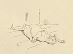[The cat that killed the rat.]